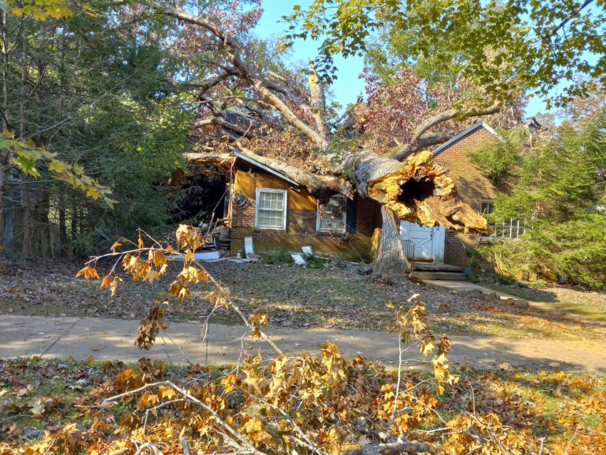 Edwin Place1007 102730