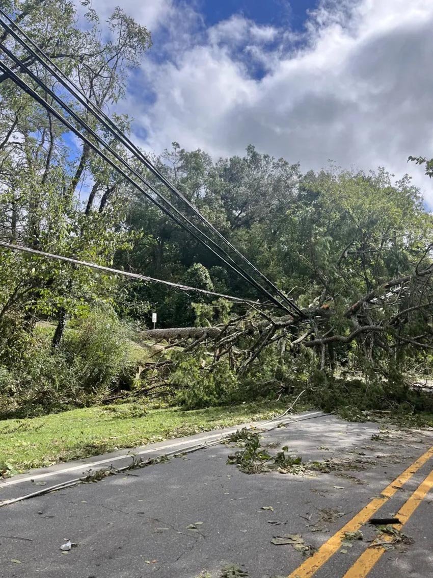 Downed-power-lines-in-weaverville-img 0141
