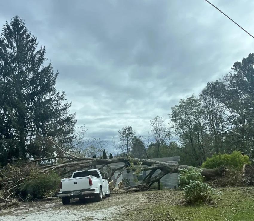 Downed-tree-pickup-truck-img 0242