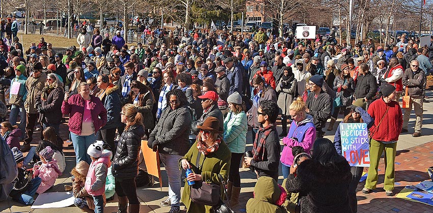 Mlk-day-avl-march-2018-108