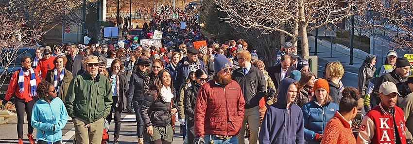 Mlk-day-avl-march-2018-63