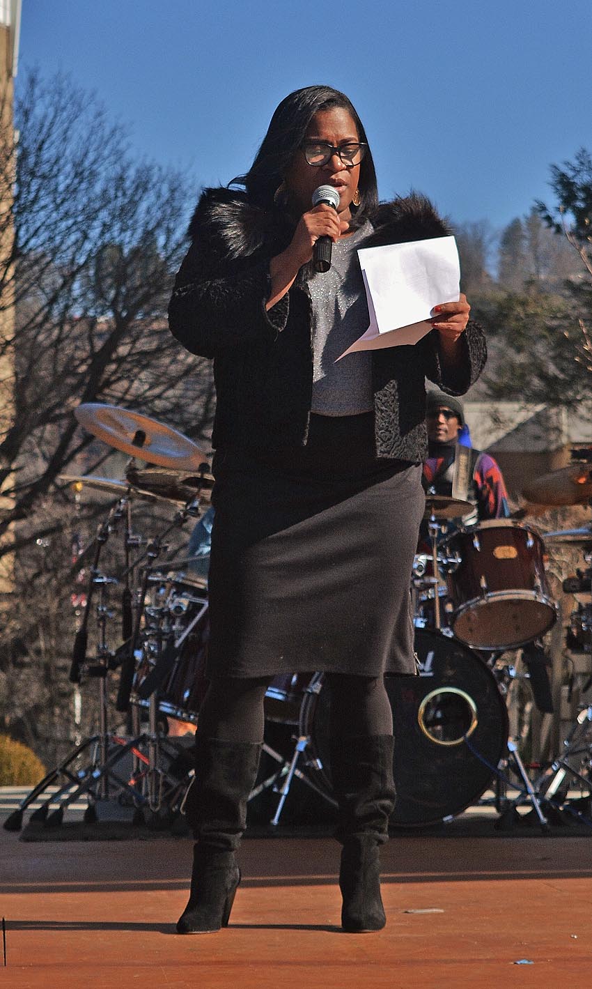 Mlk-day-avl-march-2018-95