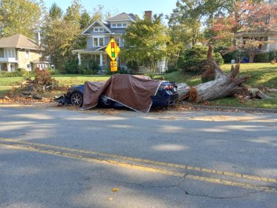 Edwin Place1007 102658