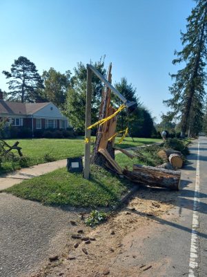 Kimberly Ave1007 102134