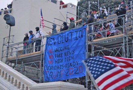 Capital-trumpsters-2