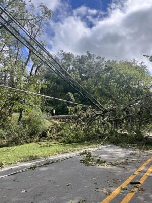 Downed-power-lines-in-weaverville-img 0141