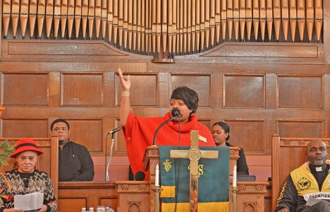 Mlk-day-avl-march-2018-13