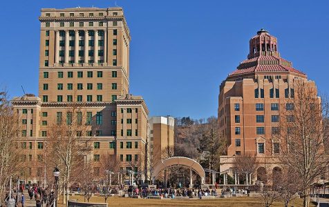 Mlk-day-avl-march-2018-132