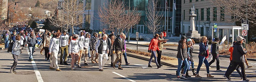 Mlk-day-avl-march-2018-56