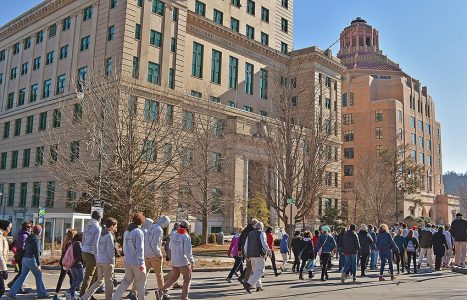 Mlk-day-avl-march-2018-57