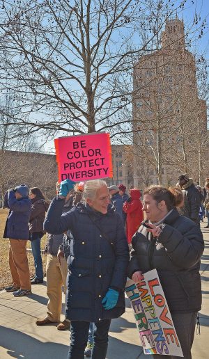 Mlk-day-avl-march-2018-68