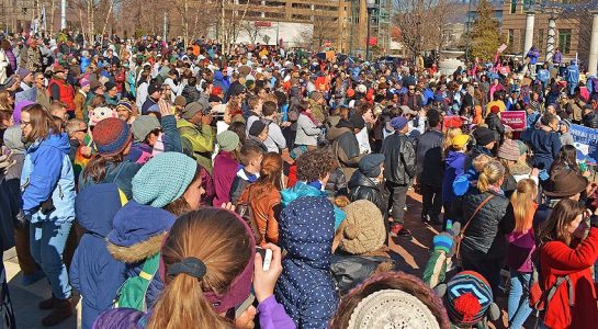 Mlk-day-avl-march-2018-79