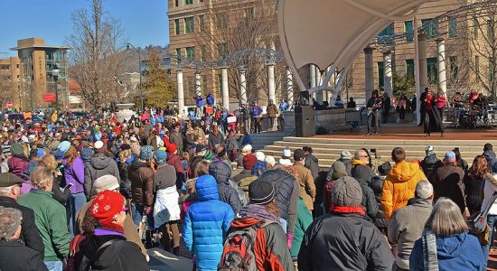 Mlk-day-avl-march-2018-84