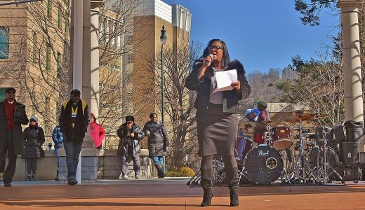 Mlk-day-avl-march-2018-93