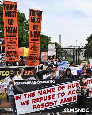No Kings rally in Washington, DC
