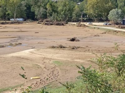 Swannanoa-river-road0929 101358