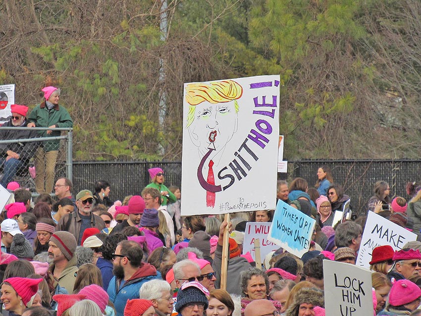 Womens March Avl2018-img 1234
