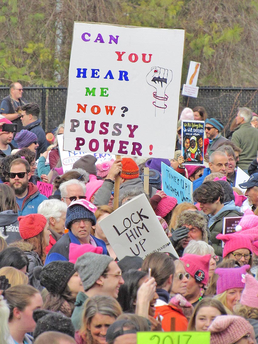 Womens March Avl2018-img 1255