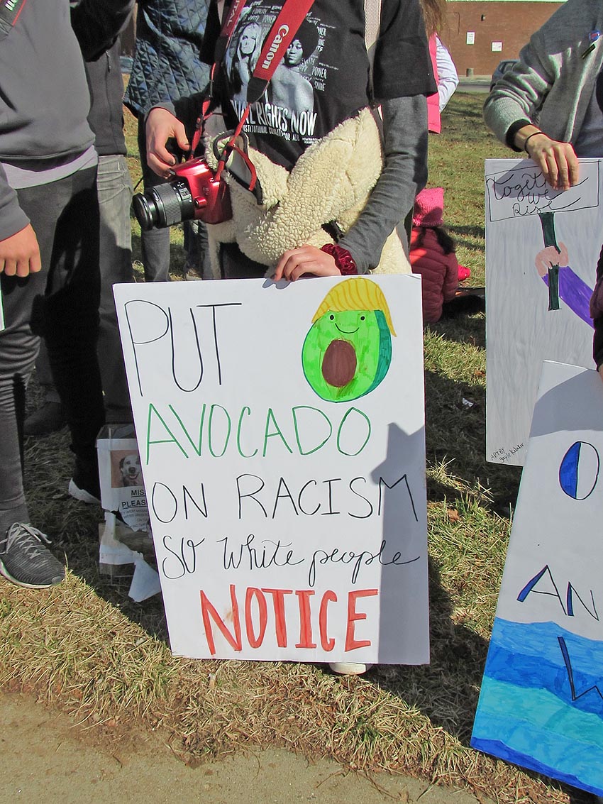 Womens March Avl2018-img 1345