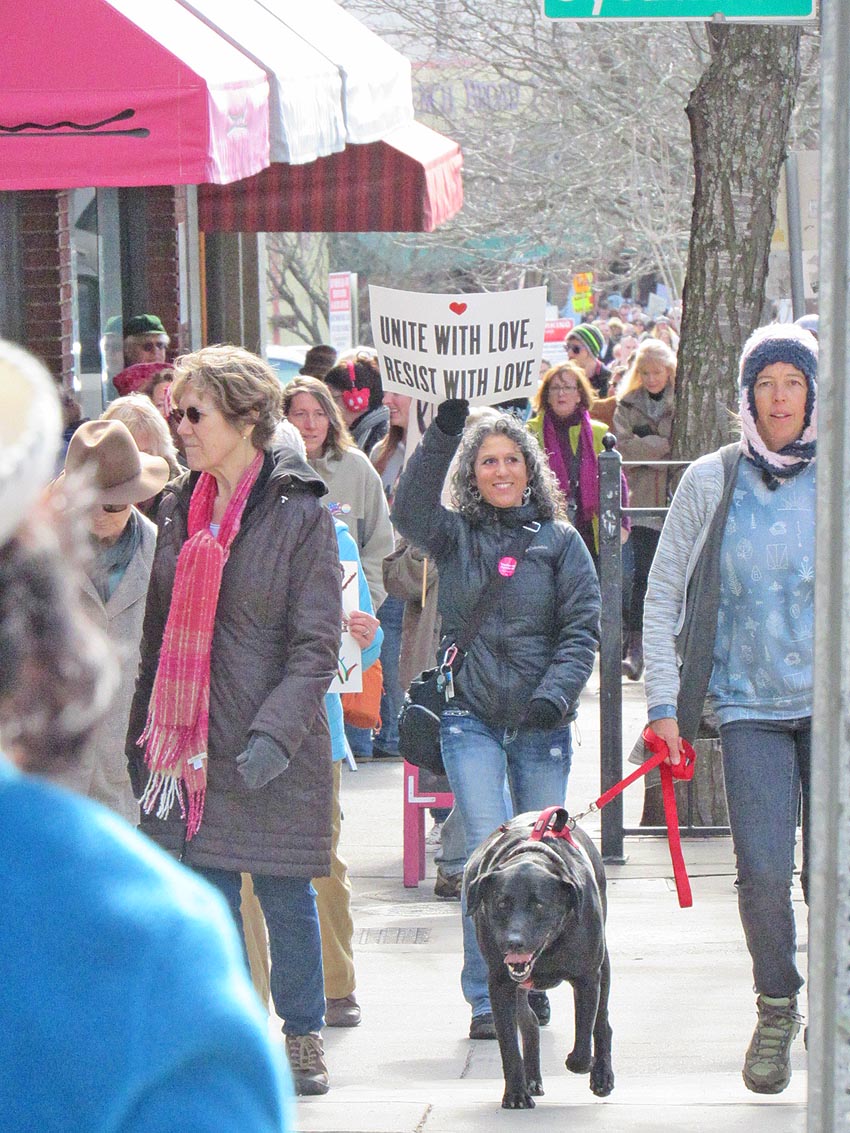 Womens March Avl2018-img 1404