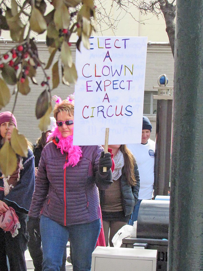 Womens March Avl2018-img 1521