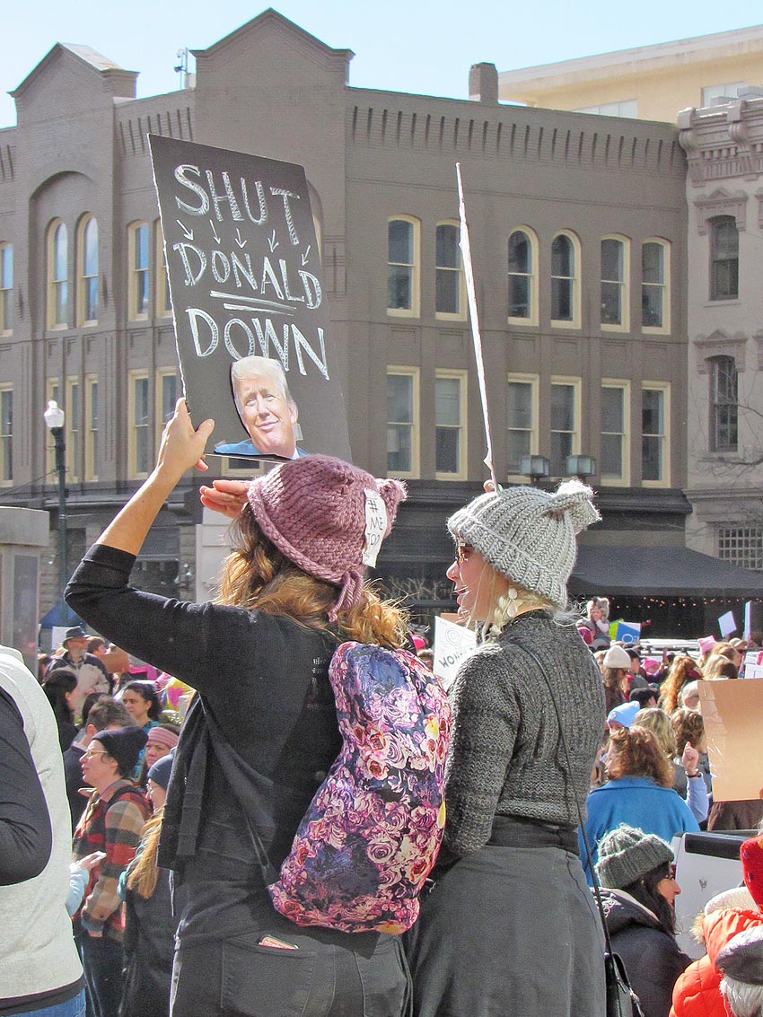 Womens March Avl2018-img 1999