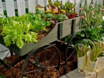 Smart Gardening for WNC: Master Gardeners Spring Garden School