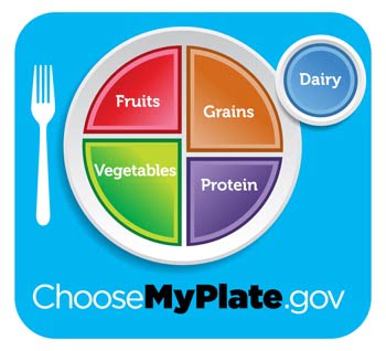 How Does Your Plate Compare to MyPlate?