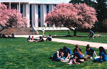 A-B Tech Small Business Center Seminars