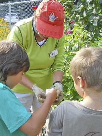 School Gardening-March