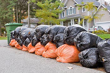 Changes in Asheville’s Brush and Leaf Collection