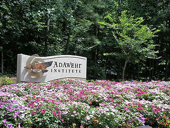adawehi entrance
