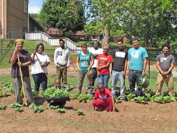 Gardening UNews June IMG_1986