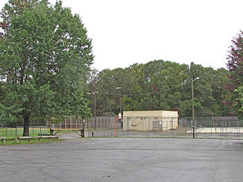 Walton Street Pool has significant value to many area residents.  Photo: Urban News
