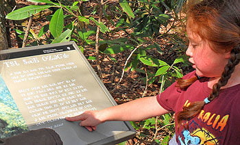 cherokee-language-sign