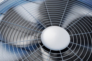 fan