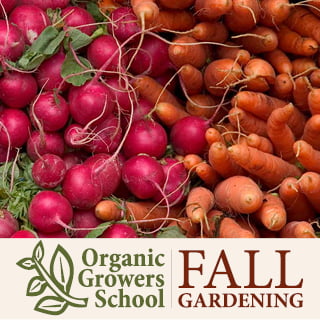 Fall-Gardening-320-x-320