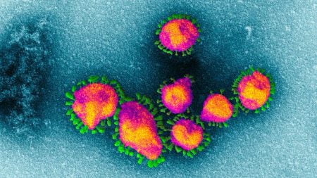 Corona Virus