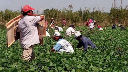 Immigrant workers