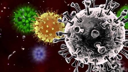 covid virus