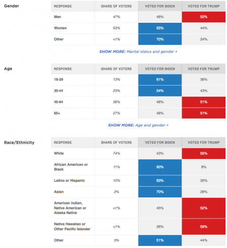 election demographics 11-6