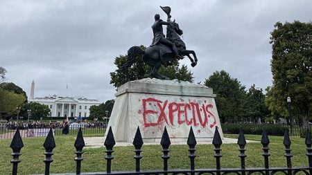 Activists wrote "Expect Us" on the statue of Andrew Jackson in front of the White House.
