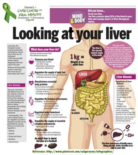 liver_function_infographic
