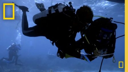 Into the Depths