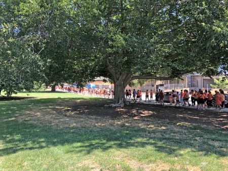 Marchers at the Moms Demand Action for Gun Sense rally in Raleigh.