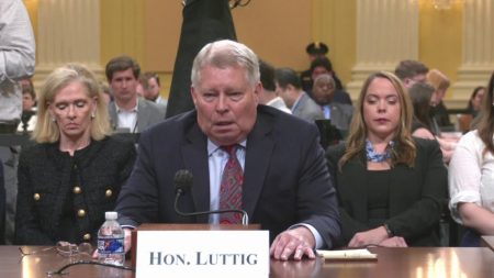 Select Committee Hearing #3