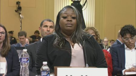 Select Committee Hearing #4