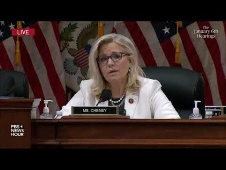 Select Committee Hearing #5
