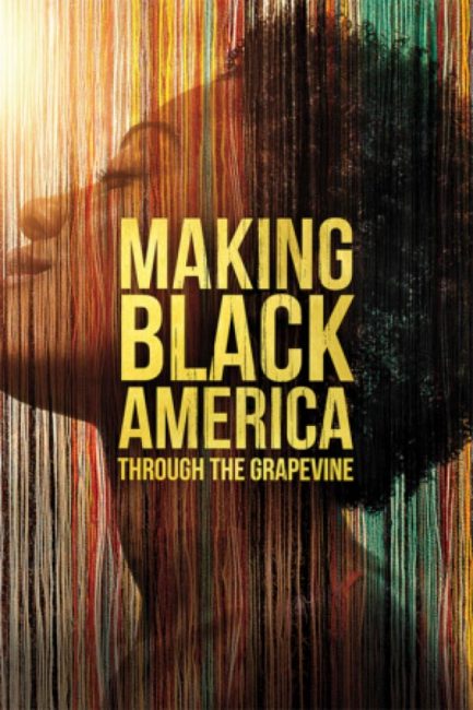 making black america poster