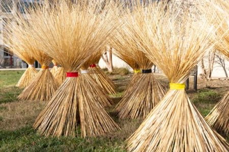 Larry Paul King’s sculpture, Miscanthus Sunshine